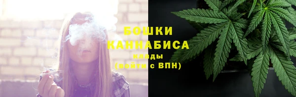 mix Козельск