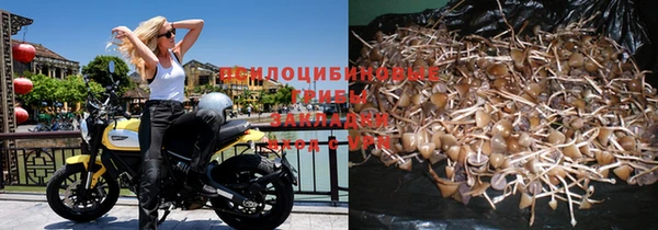 соль курить ск Козловка