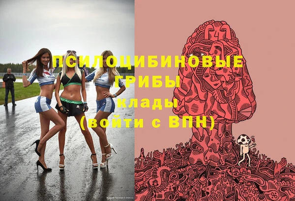 mix Козельск