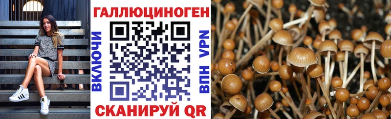 Галлюциногенные грибы ЛСД  сколько стоит  Козловка 