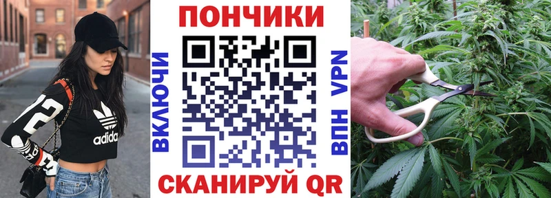 darknet как зайти  Козловка  МАРИХУАНА конопля  купить  